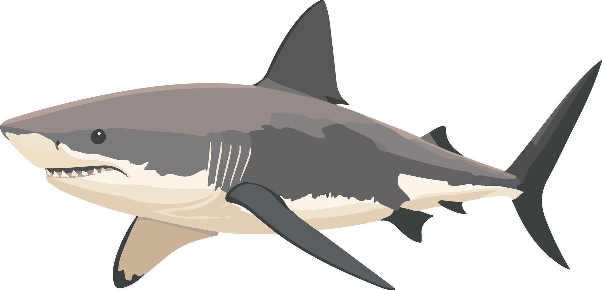 adorable cute simple Port Jackson shark clipart vector