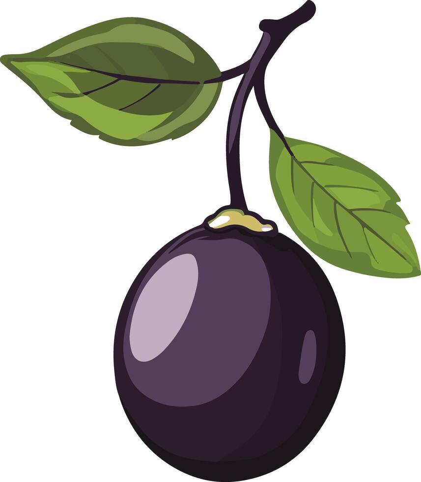 cute simple prune clipart vector