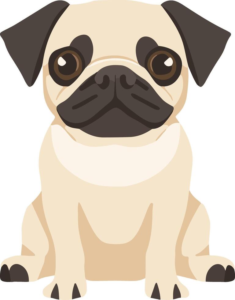 adorable cute simple pug clipart vector