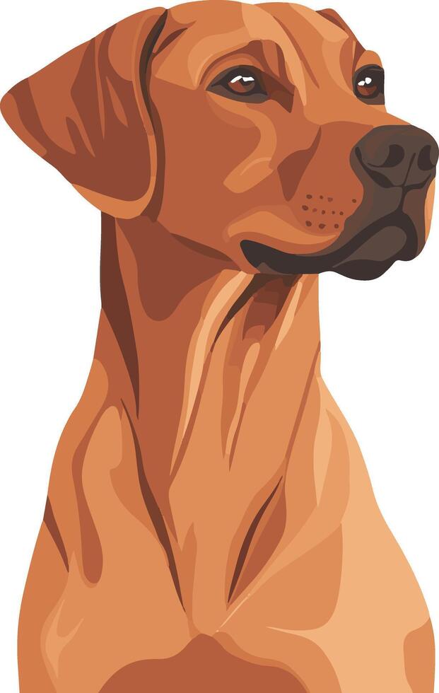 adorable cute simple Rhodesian Ridgeback clipart vector