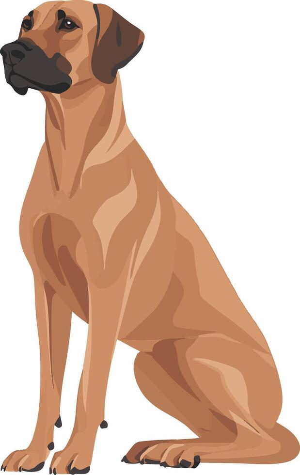 cute simple Rhodesian Ridgeback clipart vector