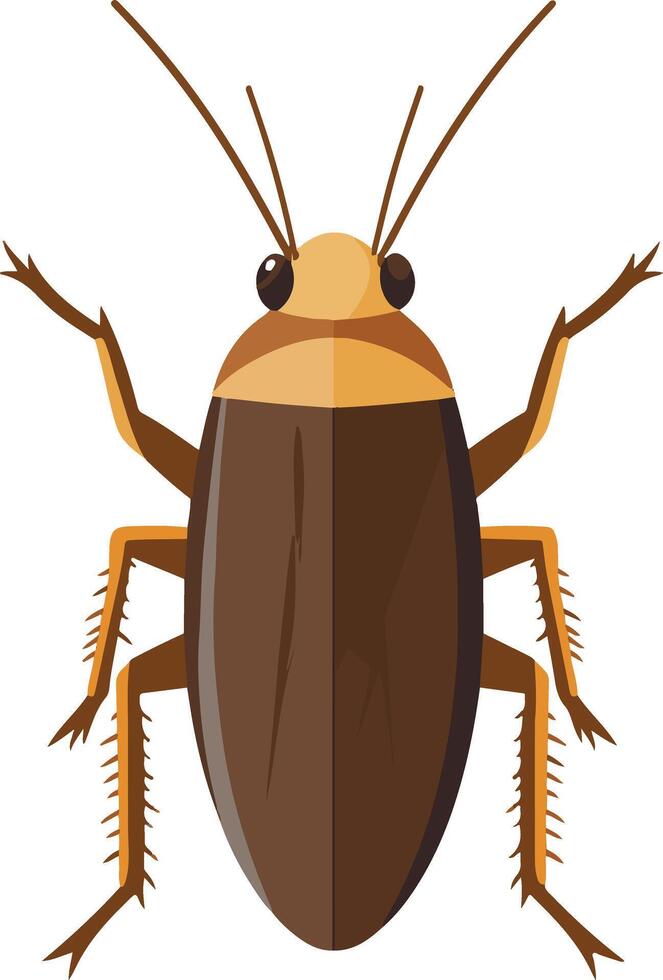 cute simple roach clipart vector