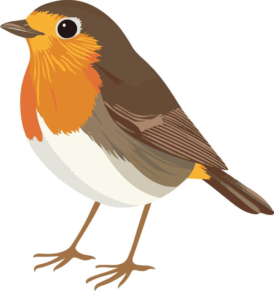 cute simple robin clipart vector