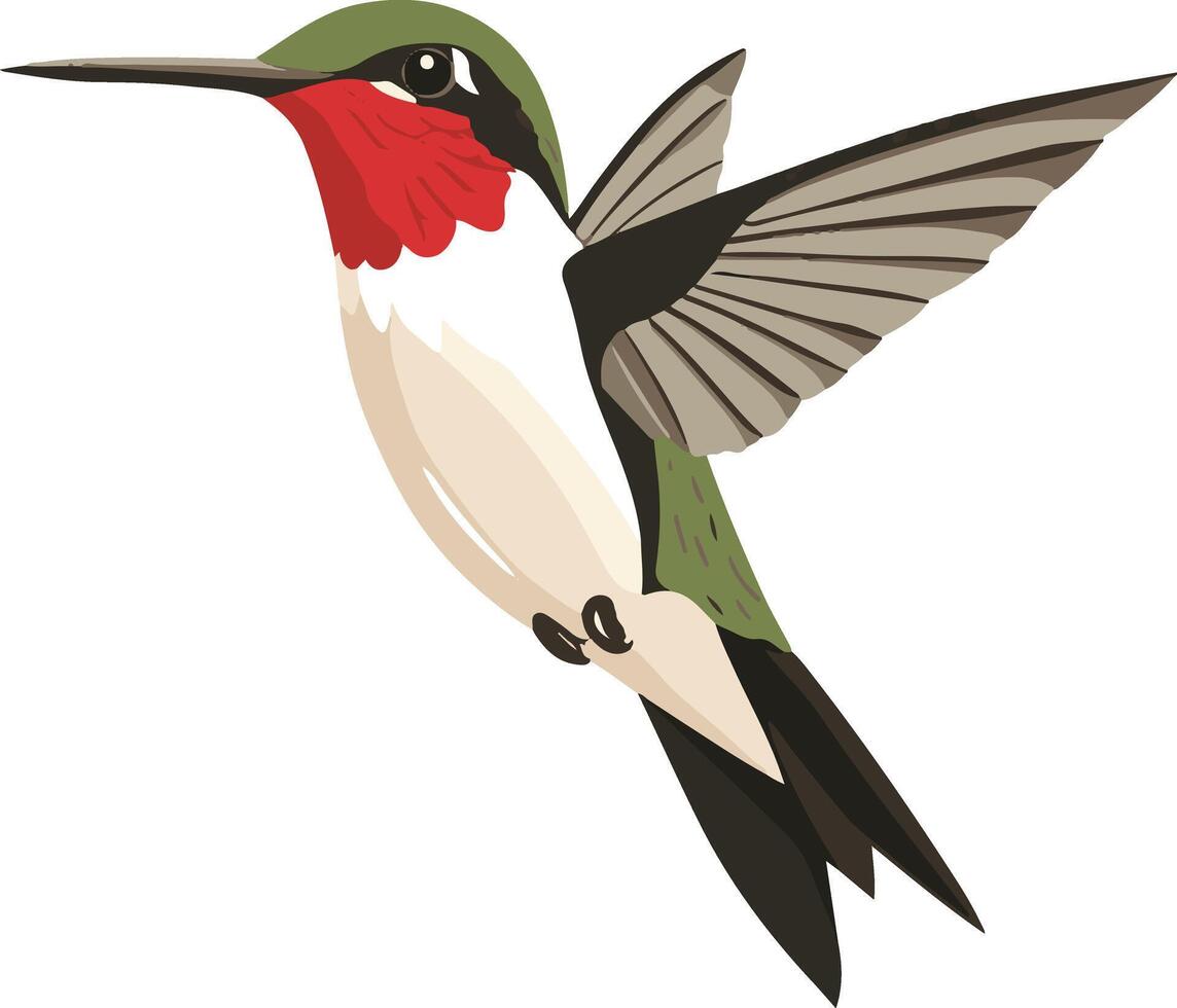 cute simple ruby throated hummingbird clipart vector