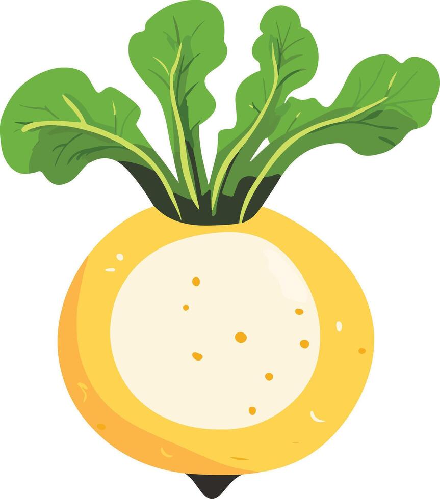 adorable cute simple rutabaga clipart vector