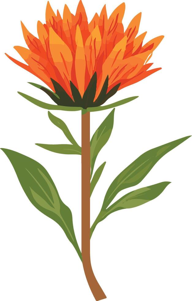 adorable cute simple safflower clipart vector