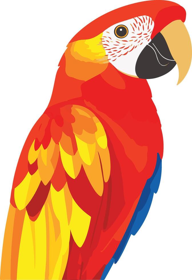 cute simple scarlet macaw clipart vector