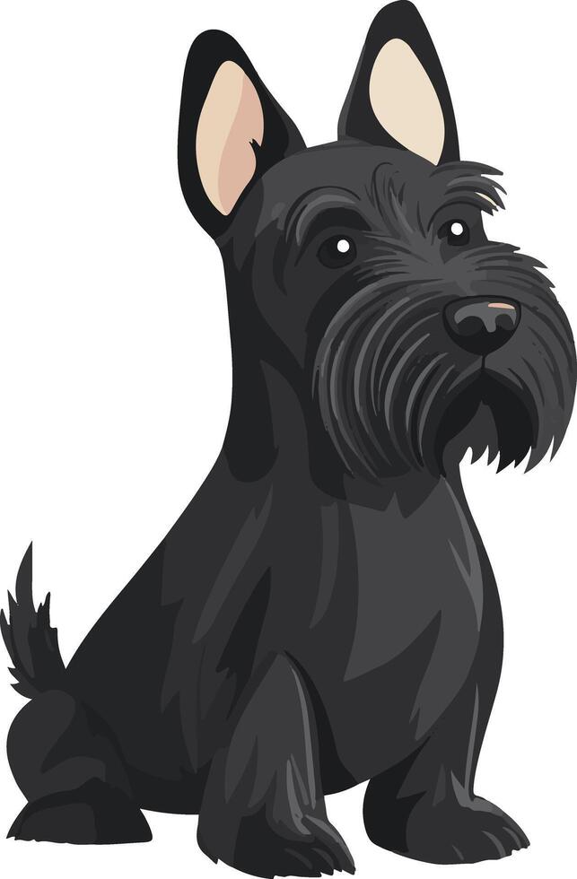 adorable cute simple Scottish Terrier clipart vector