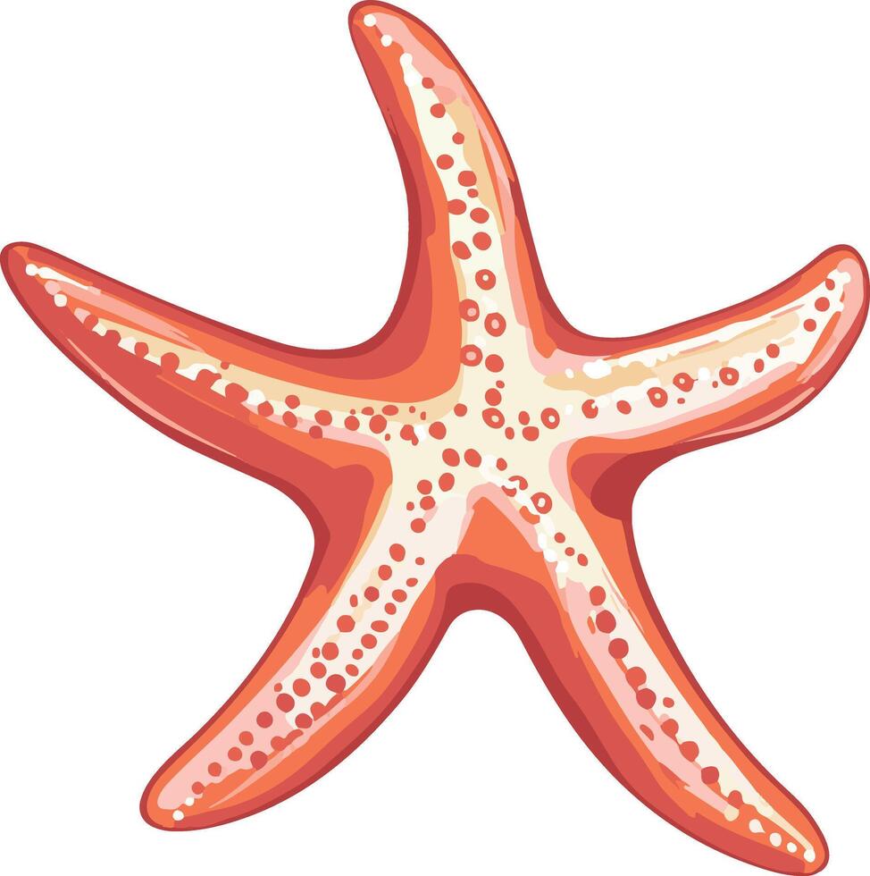 cute simple sea star clipart vector
