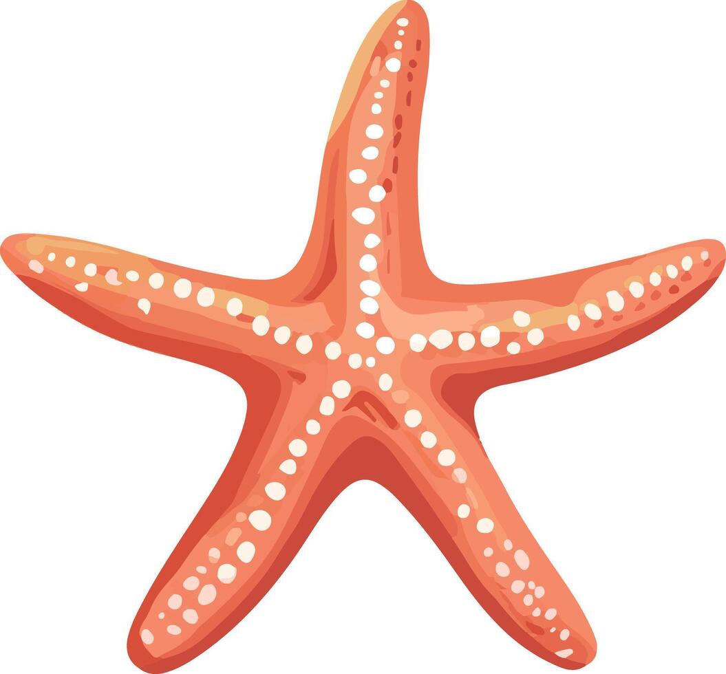 adorable cute simple sea star clipart vector