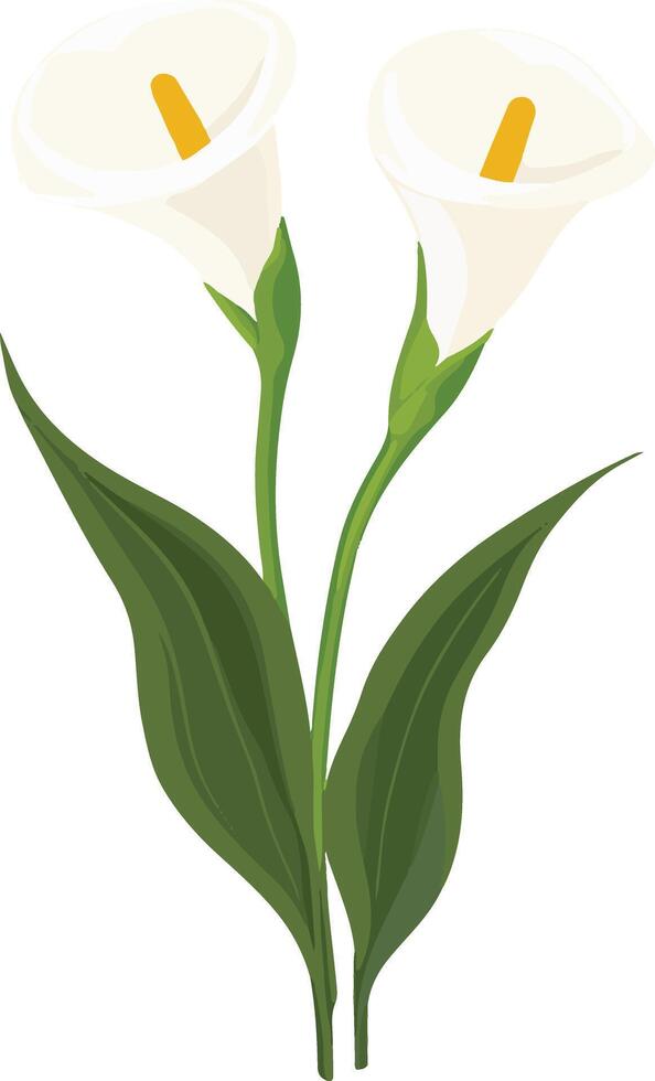 cute simple sego lily clipart vector