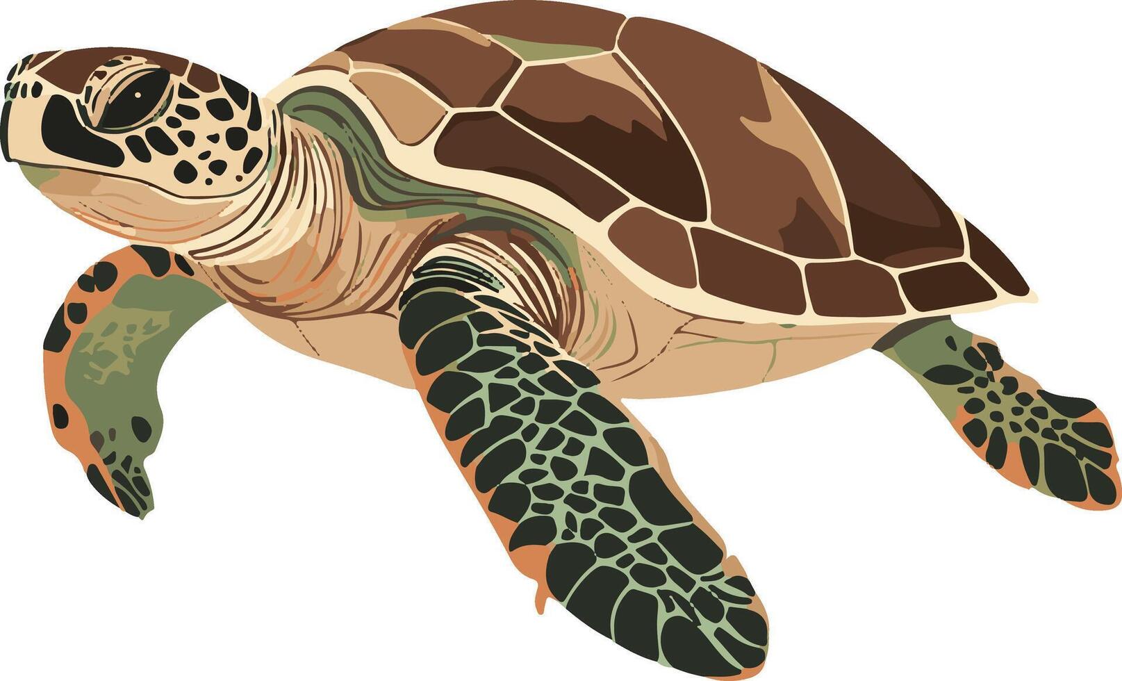 sweet cute simple sea turtle clipart vector