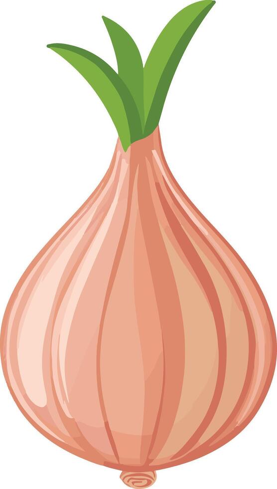 cute simple shallot clipart vector