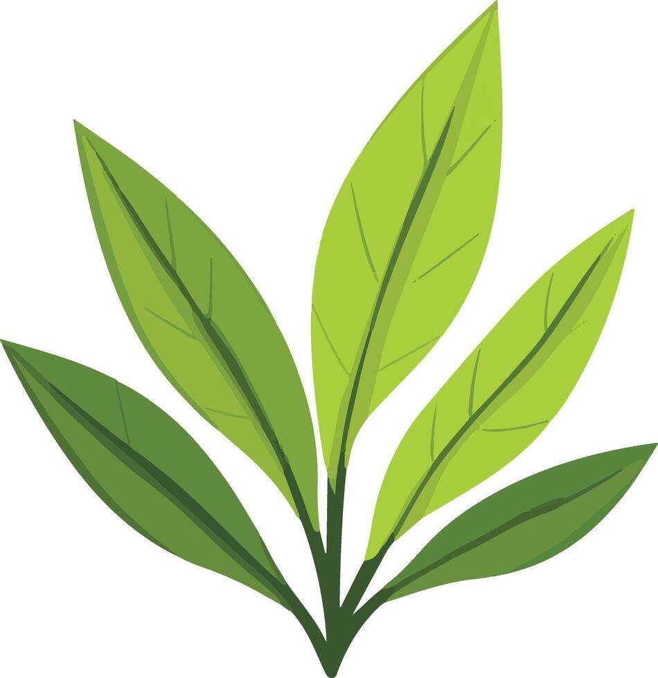 adorable cute simple sepal clipart vector