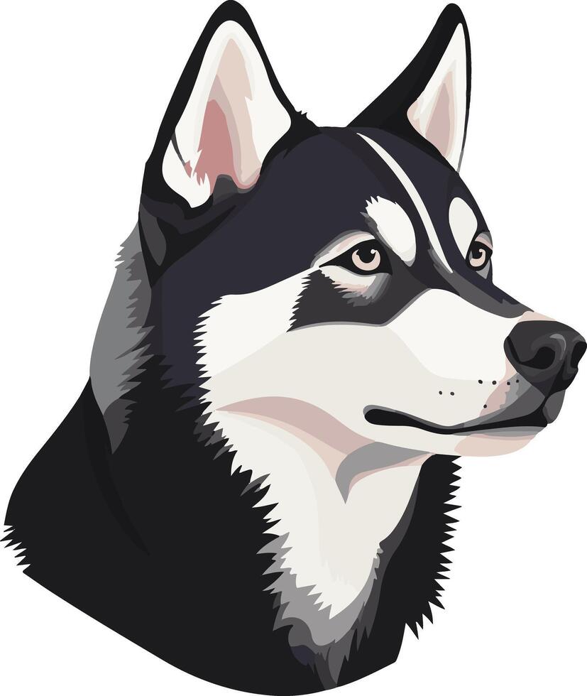 cute simple Siberian husky clipart vector