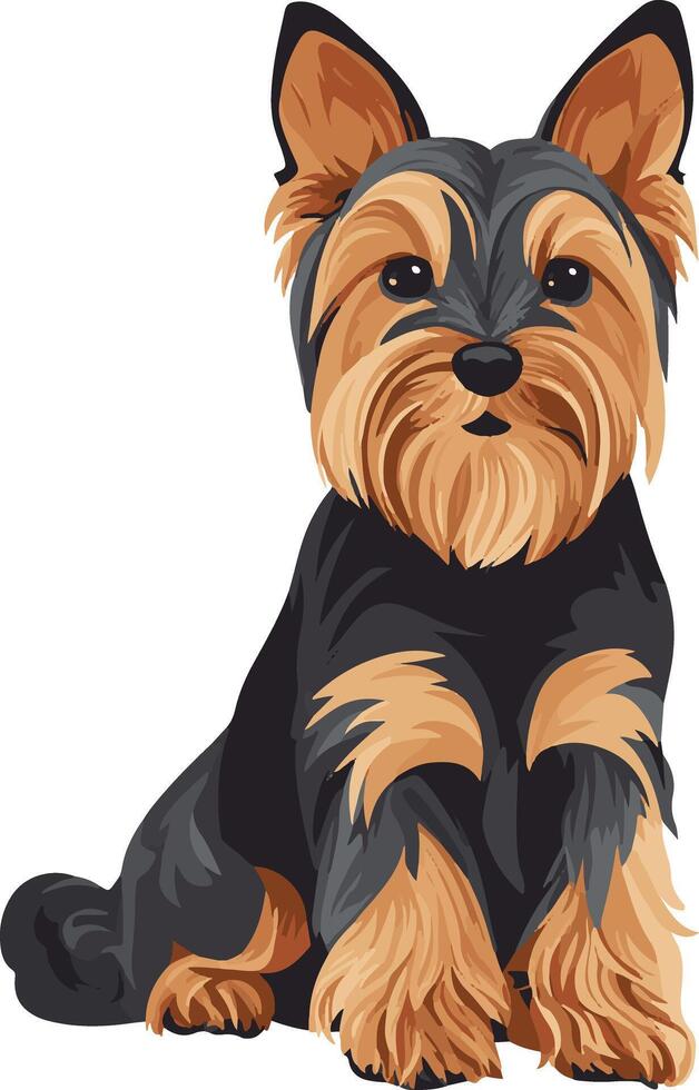 cute simple Silky Terrier clipart vector