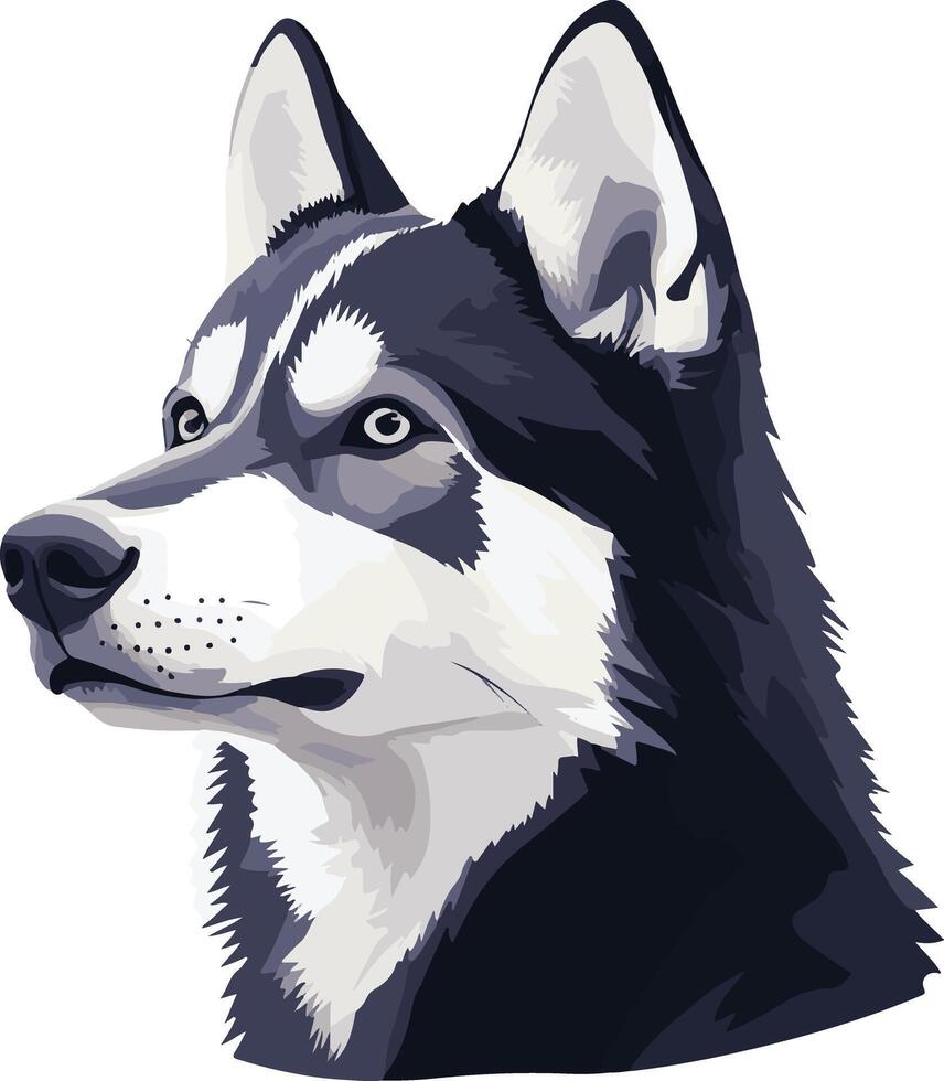 cute simple Siberian Husky clipart vector