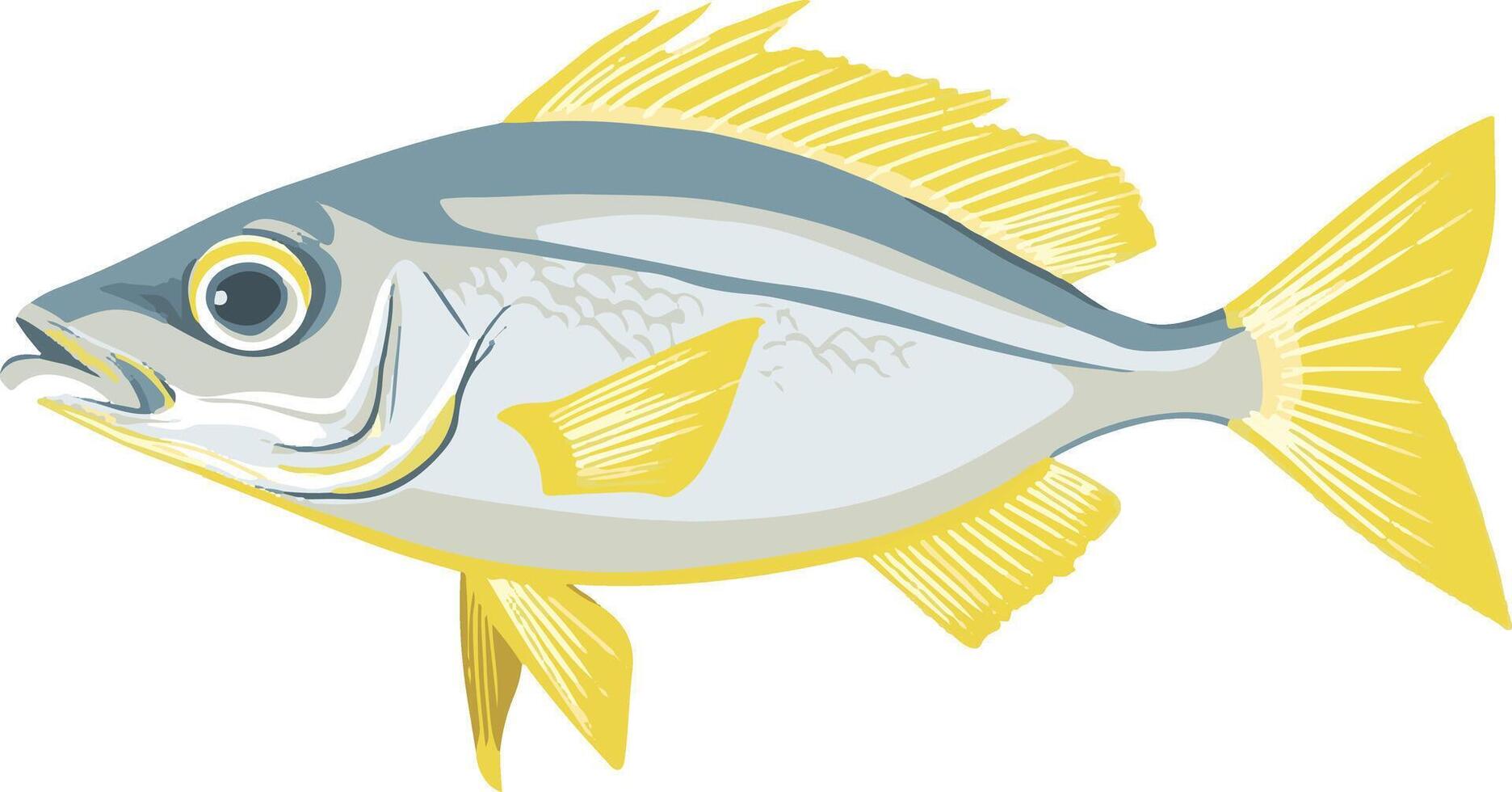 lovely cute simple snapper clipart vector
