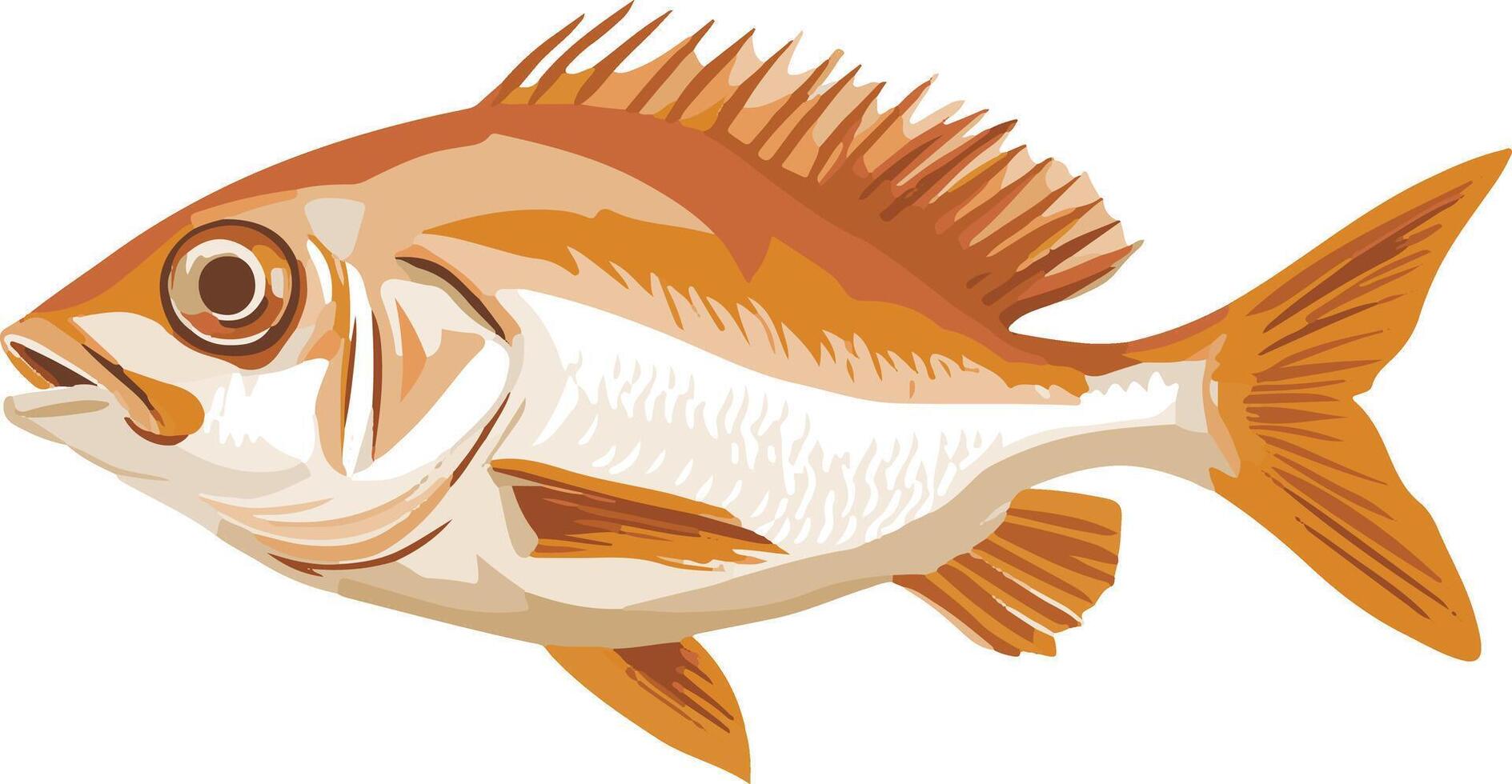 adorable cute simple snapper clipart vector