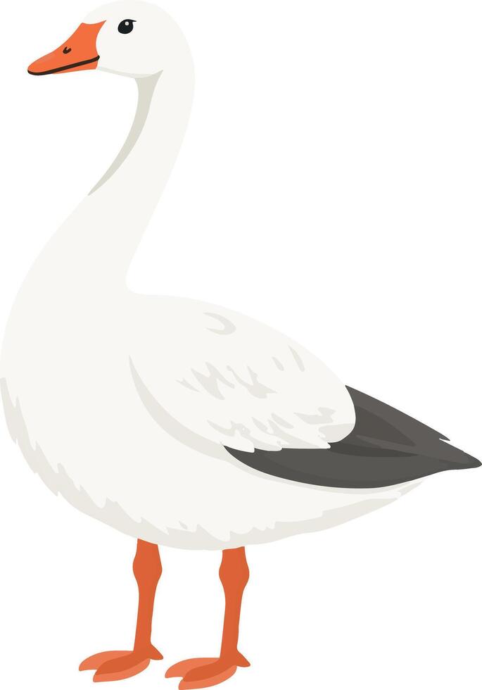cute simple snow goose clipart vector