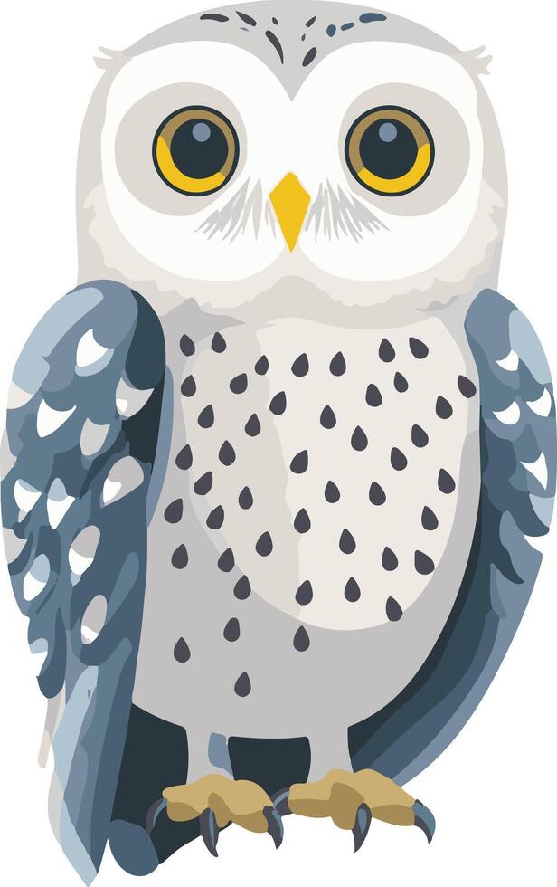 cute simple snowy owl clipart vector