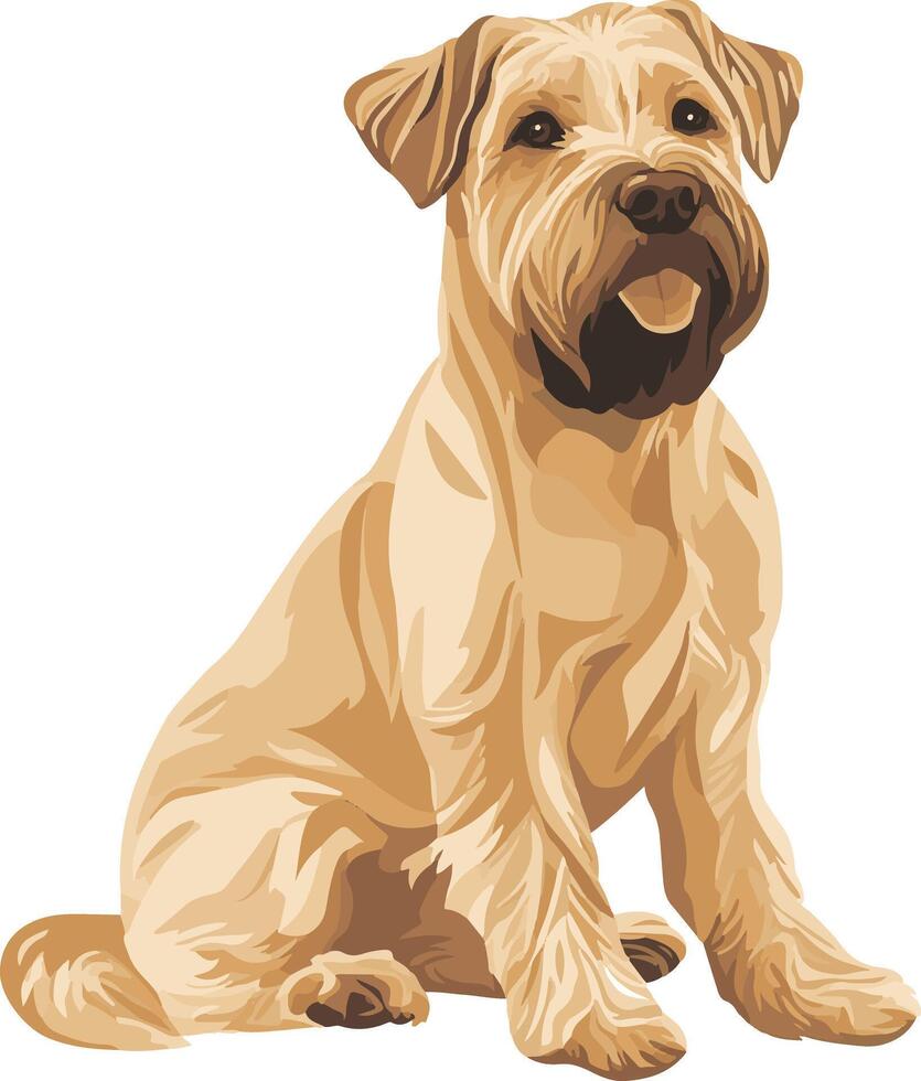 cute simple Soft Coated Wheaten Terrier clipart vector