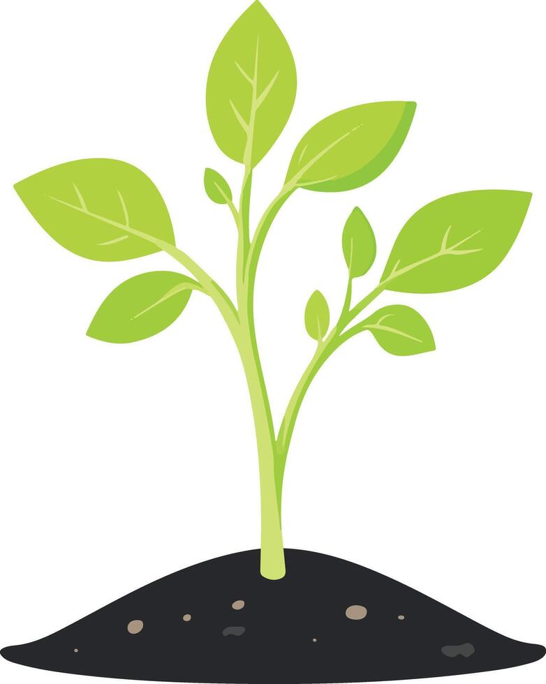 sweet cute simple sprouts clipart vector