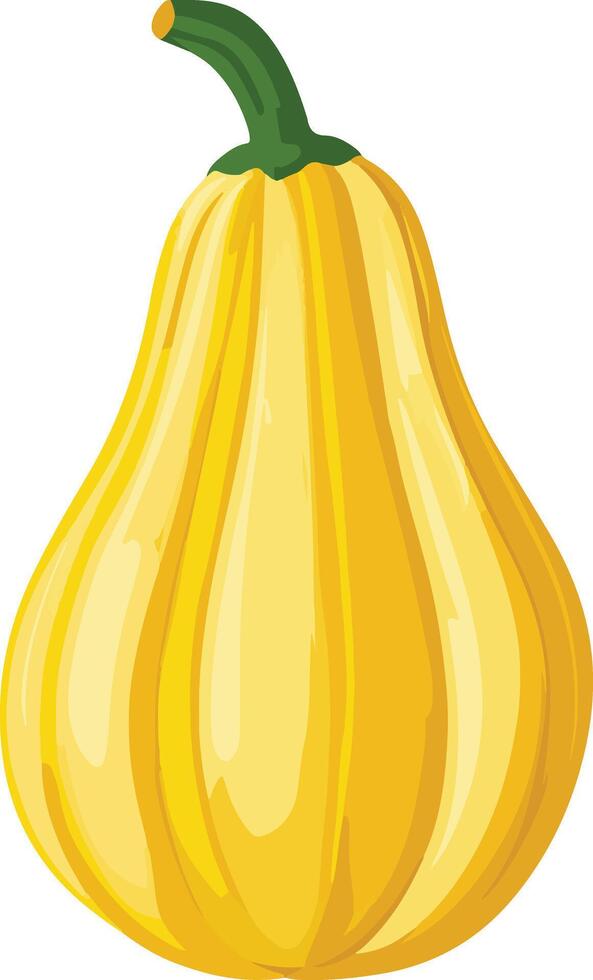 sweet cute simple squash clipart vector