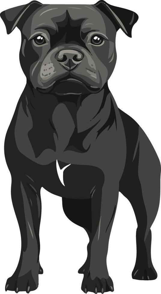 sweet cute simple Staffordshire Bull Terrier clipart vector