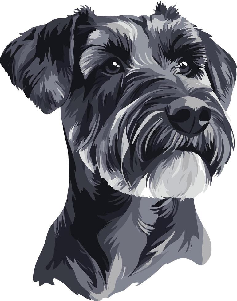 adorable cute simple Standard Schnauzer clipart vector