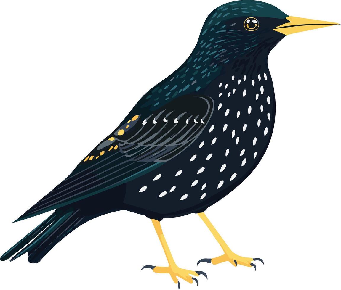 adorable cute simple starling clipart vector