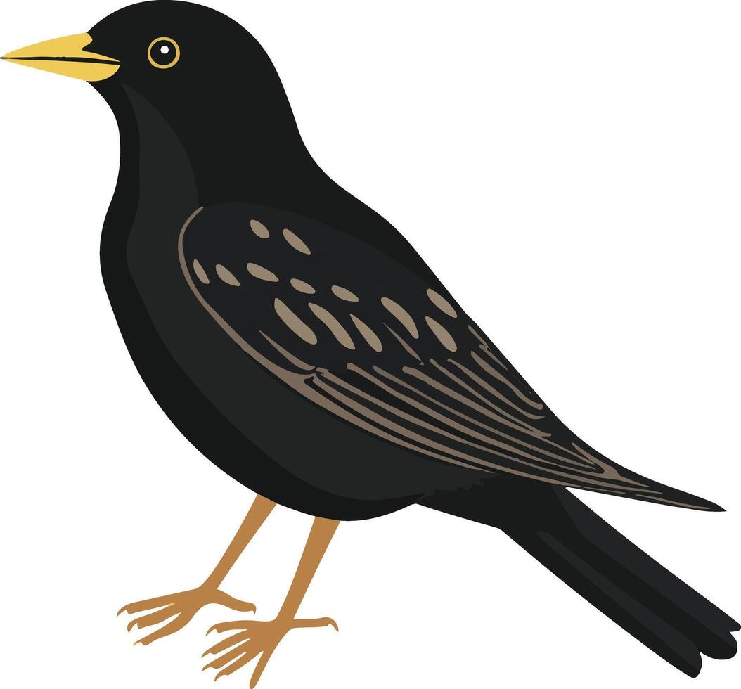 sweet cute simple starling clipart vector
