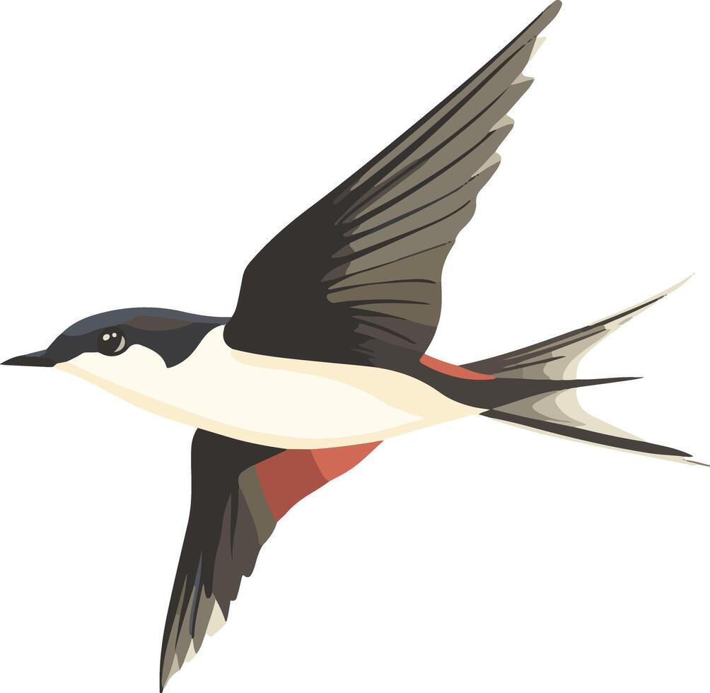 lovely cute simple swift clipart vector