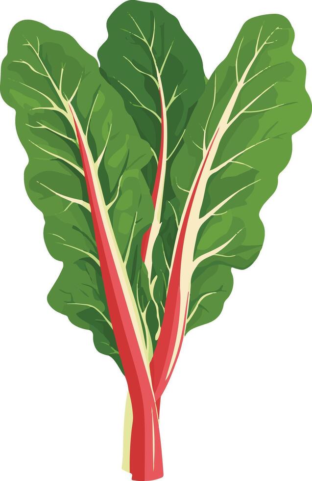 sweet cute simple Swiss chard clipart vector