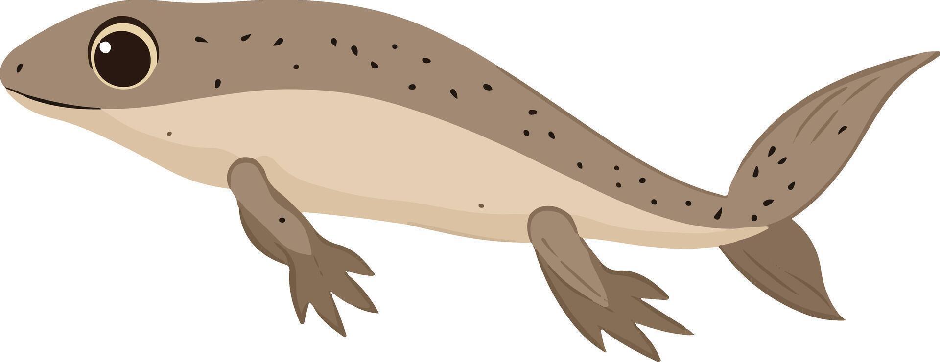 adorable cute simple tadpole clipart vector