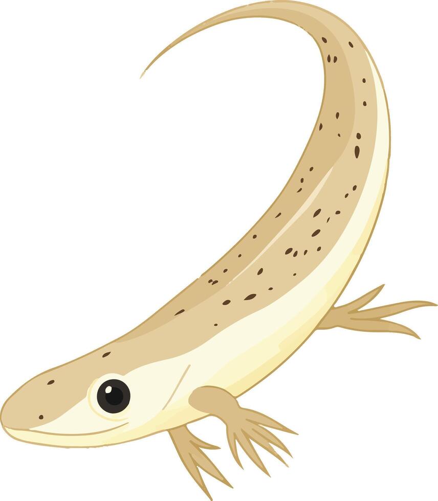 sweet cute simple tadpole clipart vector