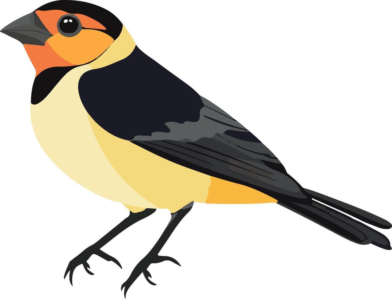 cute simple tanager clipart vector