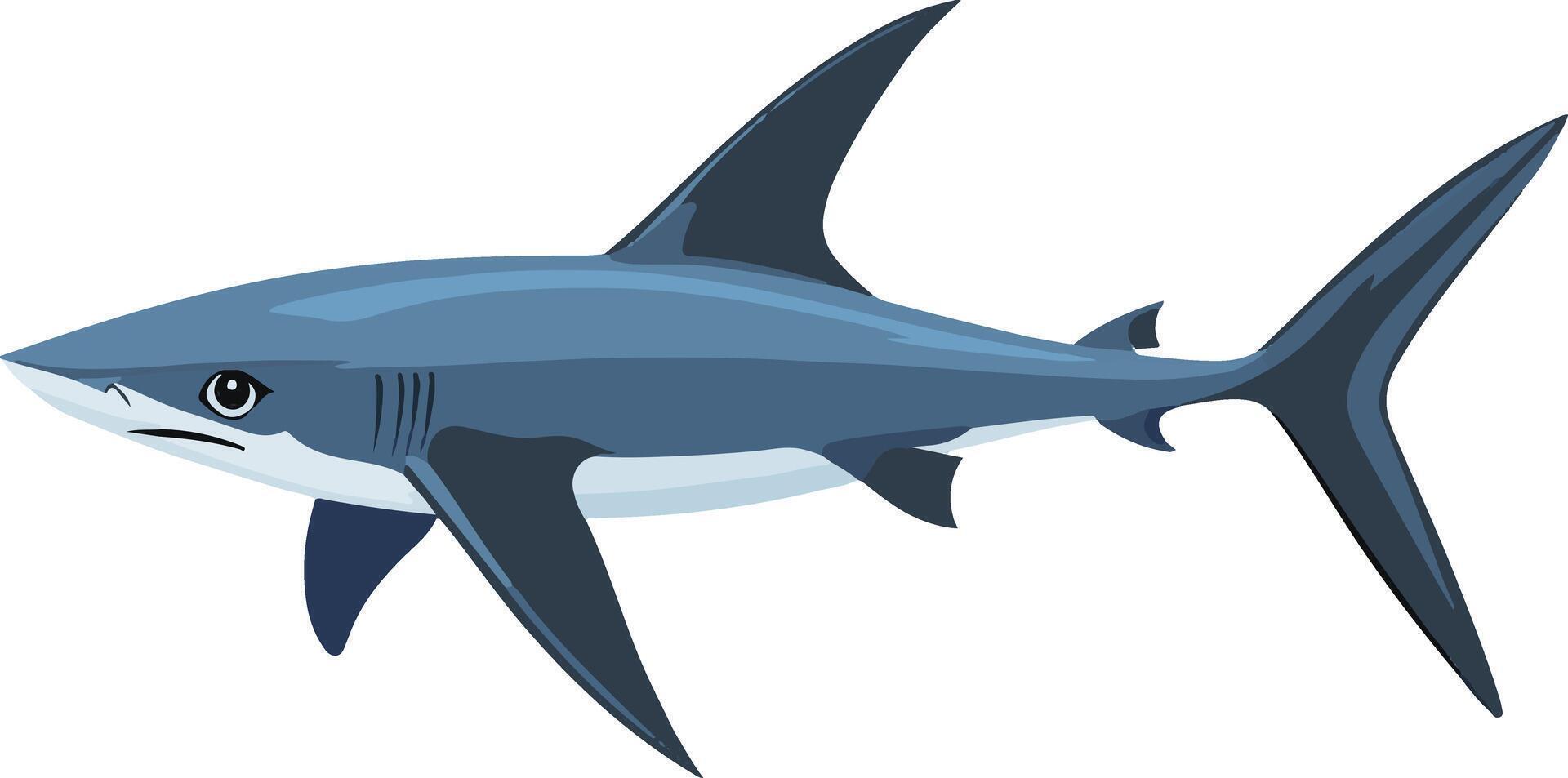 sweet cute simple thresher shark clipart vector