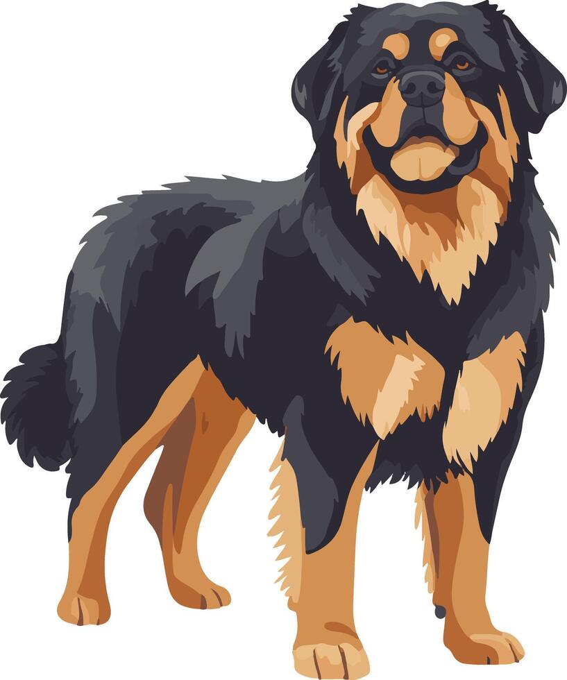 cute simple Tibetan Mastiff clipart vector