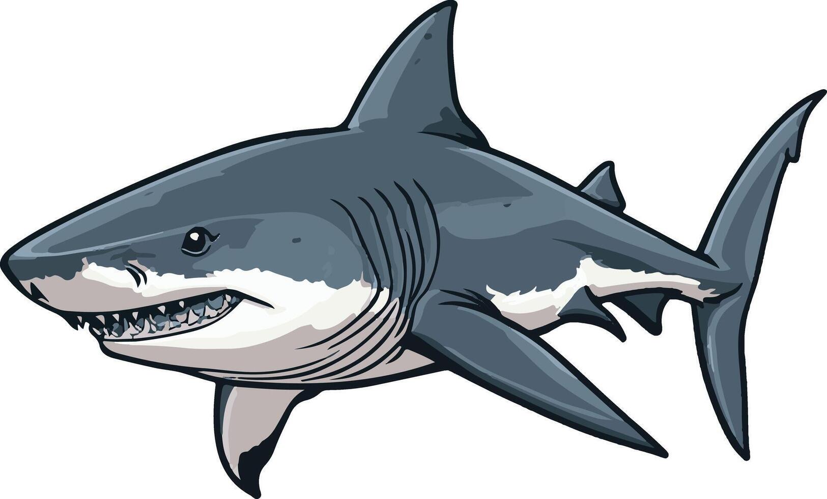 cute simple tiger shark clipart vector
