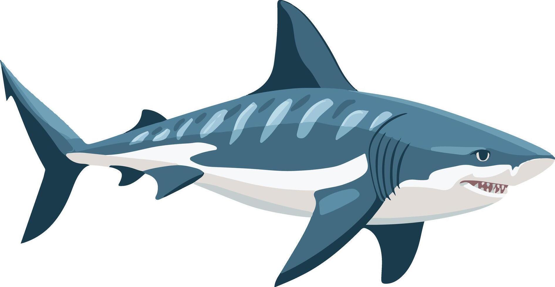 adorable cute simple tiger shark clipart vector