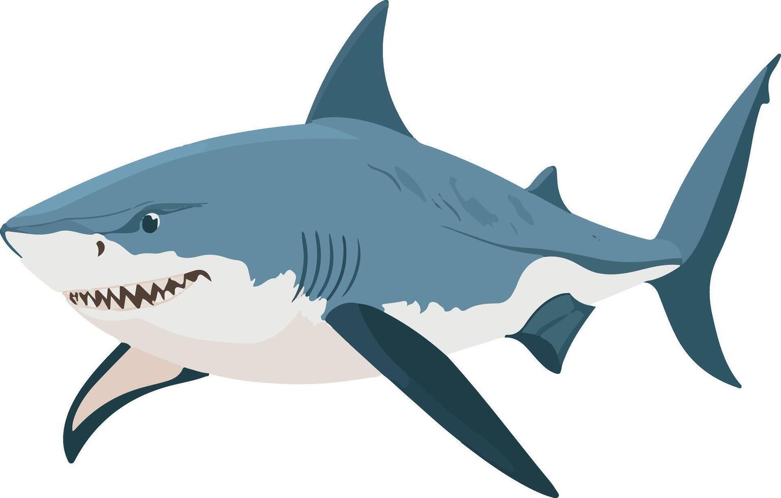 lovely cute simple tiger shark clipart vector