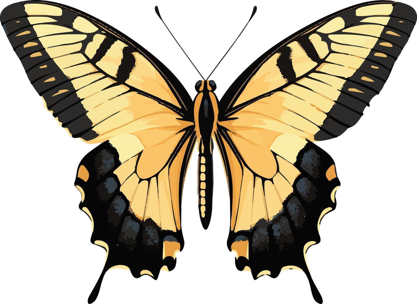 sweet cute simple tiger swallowtail butterfly clipart vector