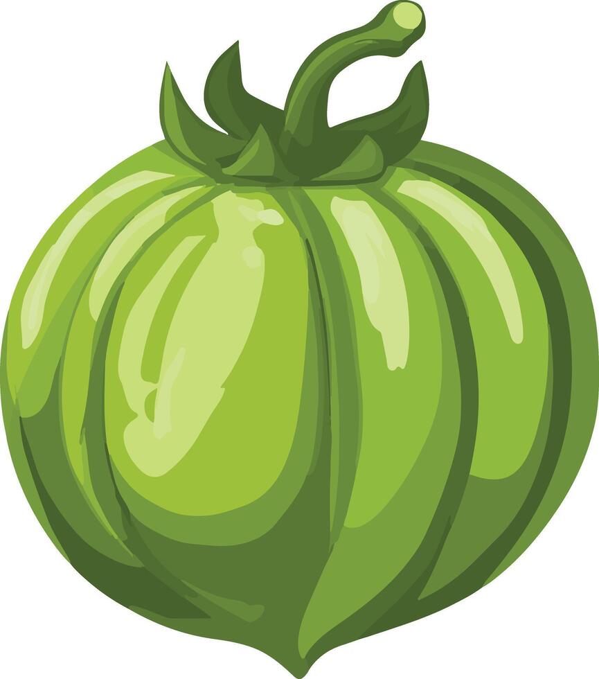 adorable cute simple tomatillo clipart vector