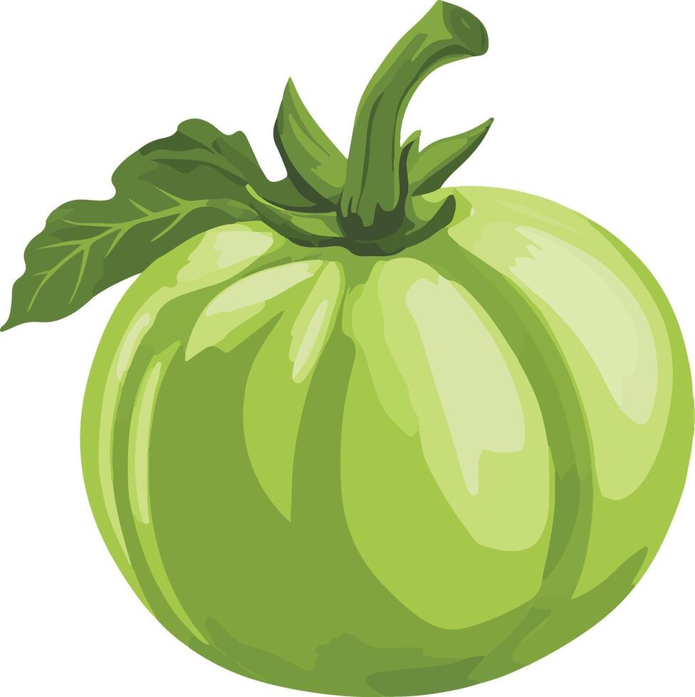 sweet cute simple tomatillo clipart vector
