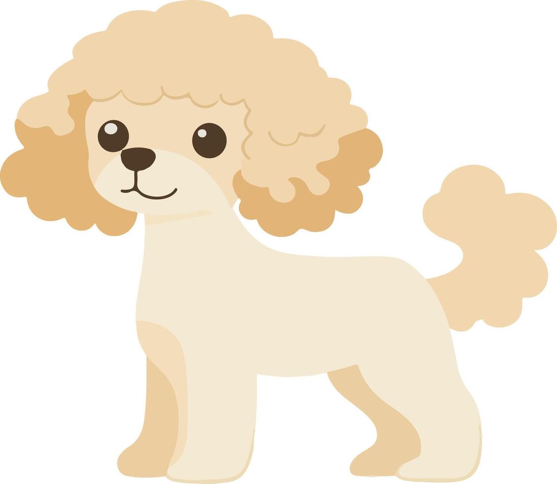 adorable cute simple Toy Poodle clipart vector