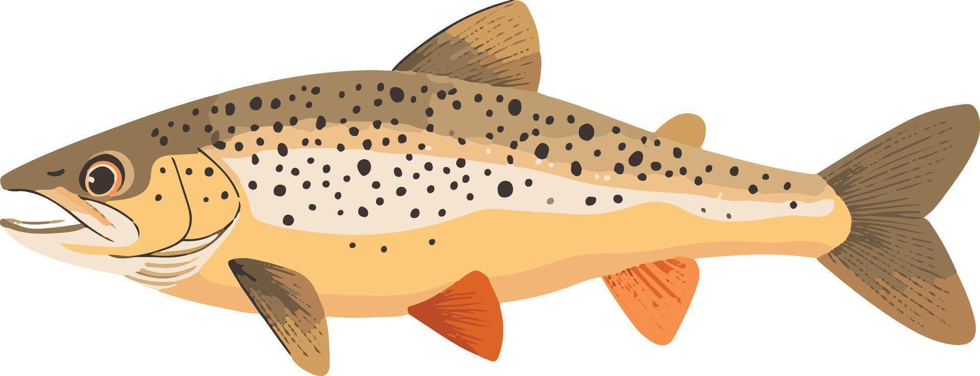 cute simple trout clipart vector