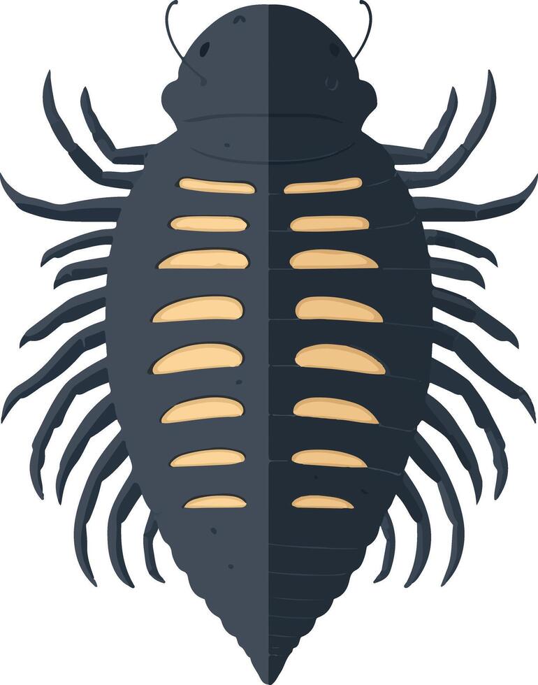 cute simple Trilobite clipart vector