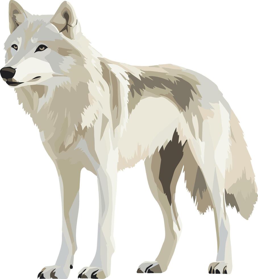 cute simple tundra wolf clipart vector