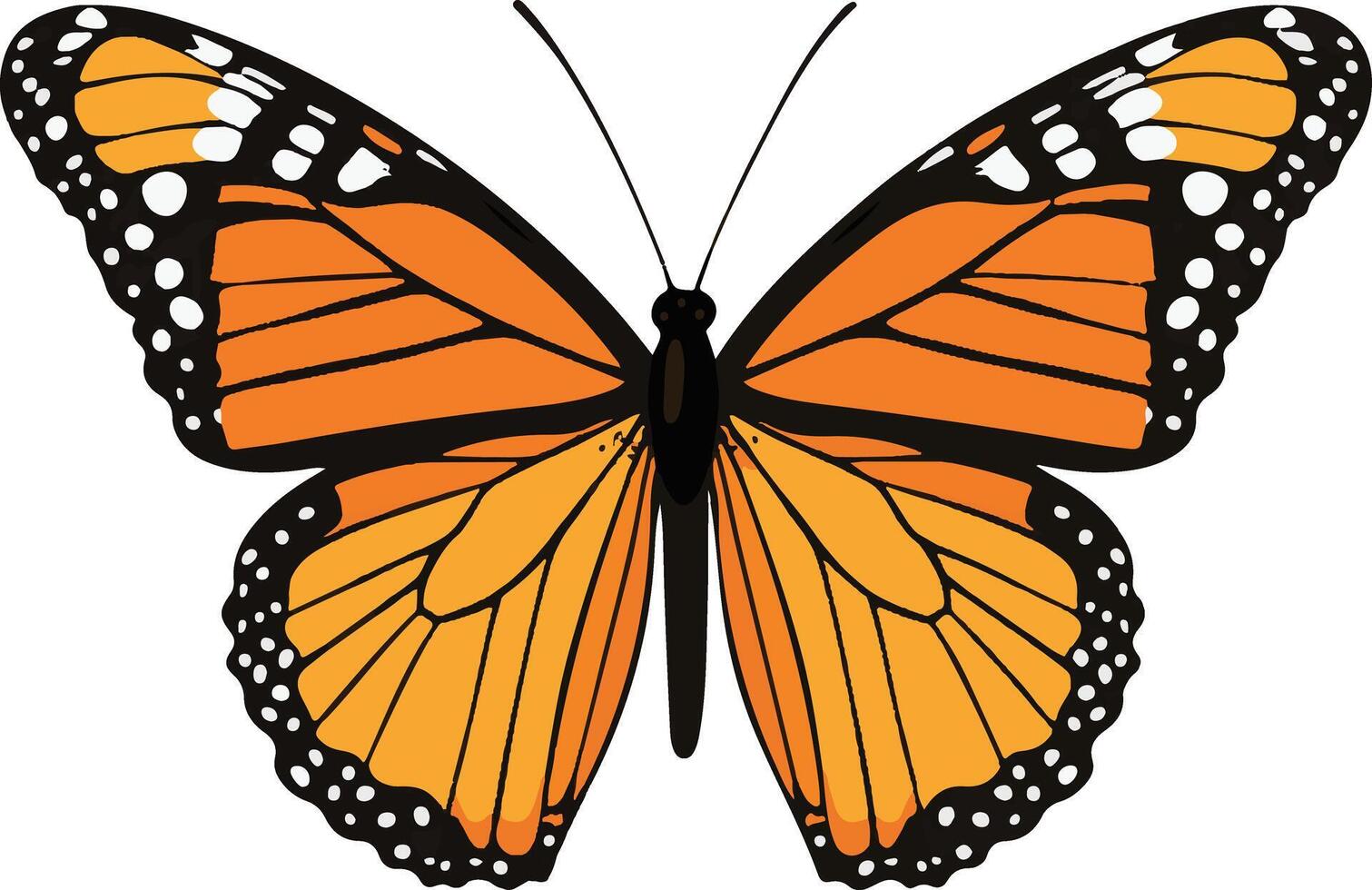 sweet cute simple viceroy butterfly clipart vector